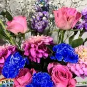 10 【プロフお読みください☺︎】の画像