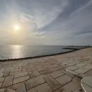 茶坊主