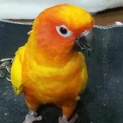 ふみなつの画像