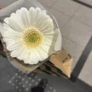 aikoの画像