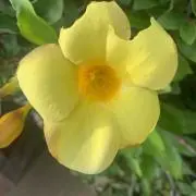 hmktuの画像