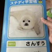 まーまの画像