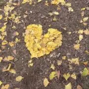 Kumaの画像