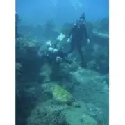 oneの画像