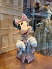 きのこの画像