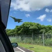 しゅっとしてちゃりん