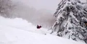 CKの画像