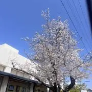 Shouiの画像