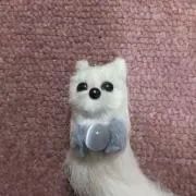 okojo09の画像