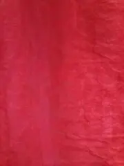 レイの画像