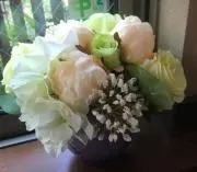 あんこの画像