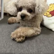 ミン