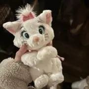 れもの画像