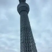 しん