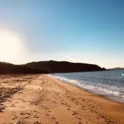 ろびー7777の画像