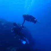 popoの画像