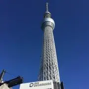 ミミの画像