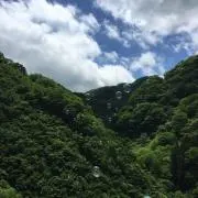 ソラちゃん