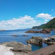 除菌99パーセント