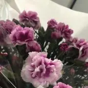 mmchamyの画像