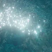 S☆Kの画像