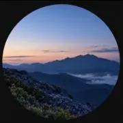 yasaの画像