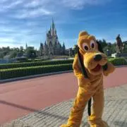 Mikoの画像