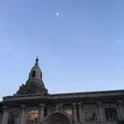 春の画像