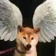 rerioe⭐︎プロフ必読願いますの画像