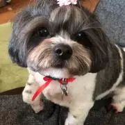 なっちゃんのまま