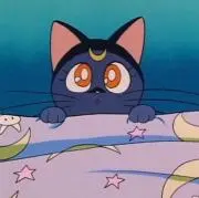 ★の画像