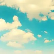 Molinaの画像