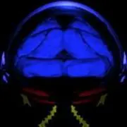 pasicoの画像