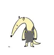 ハシコの画像