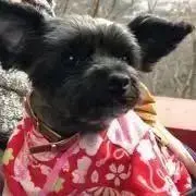 Monaの画像