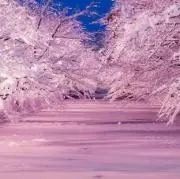 幻魔の扉 ウルトラ 3枚セット - メルカリ