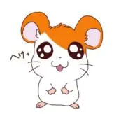 ぱぺぽの画像