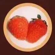 蓮の画像