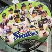 TYSの画像