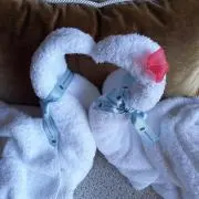 【プロフ必読】なっちゃんの画像