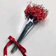 瑠可の画像