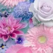 ママ☆プロフ必読‼の画像