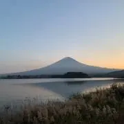 むーの画像