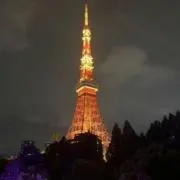 シゃもの画像