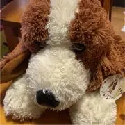 タッキーの画像