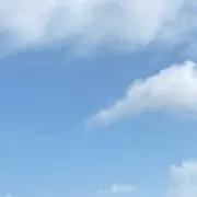 SAllyの画像