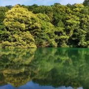Hiroの画像
