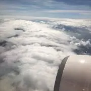 ウッシー
