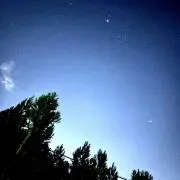 なかはまの画像