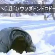 もりしの画像